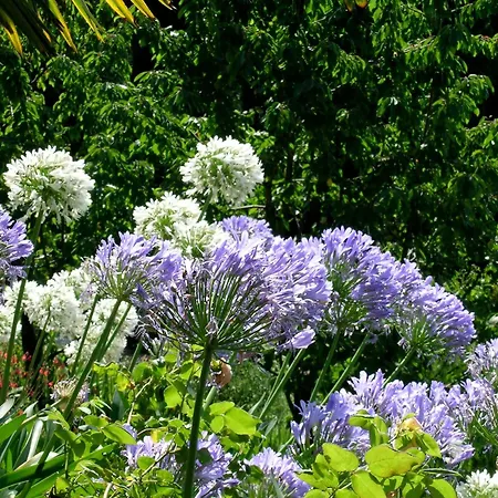 Dimora Bolsone Farm stay Gardone Riviera